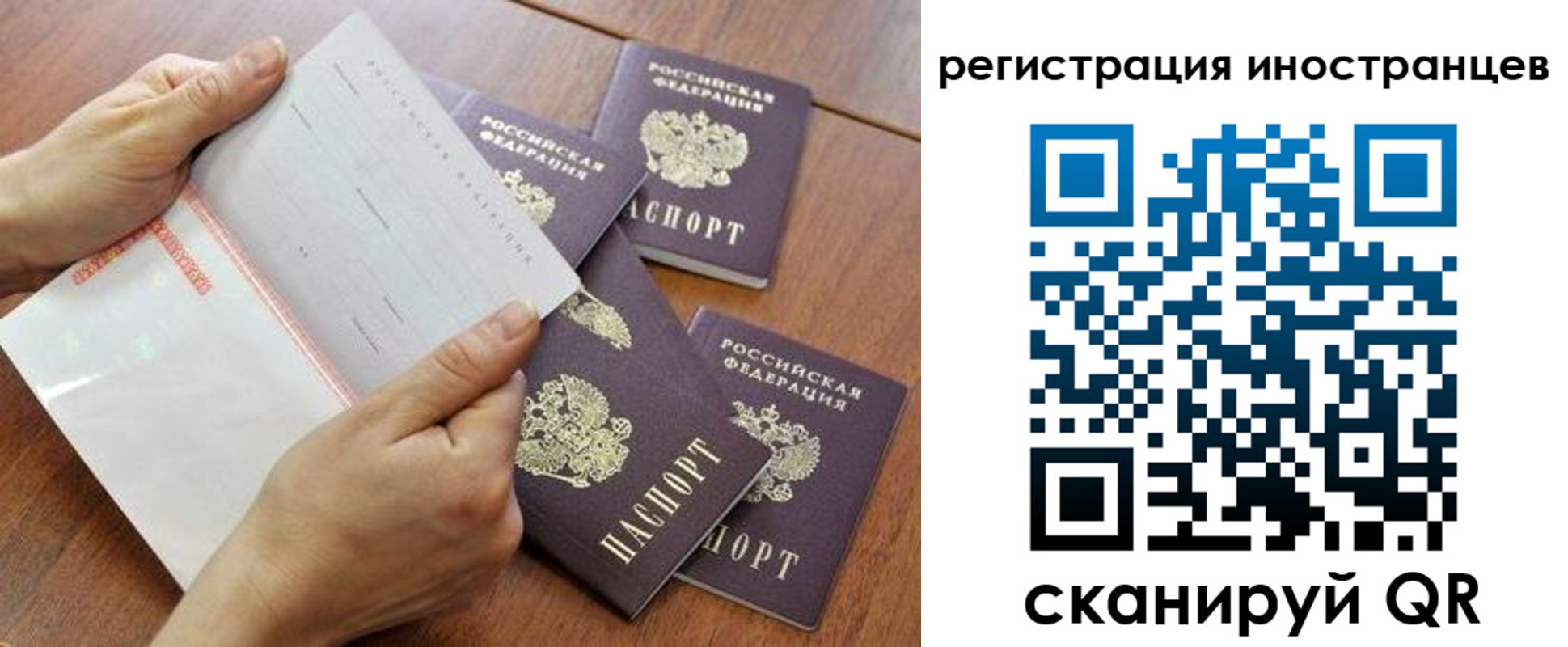 прописка поиск в Белокурихе